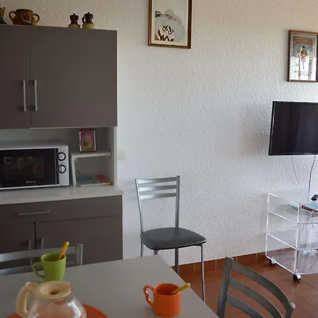 Διαμέρισμα Appt T2 Avec Piscine, Parking A Port Camargue - Fr-1-250-18
